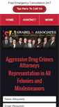 Mobile Screenshot of michigan-drug-attorney.com